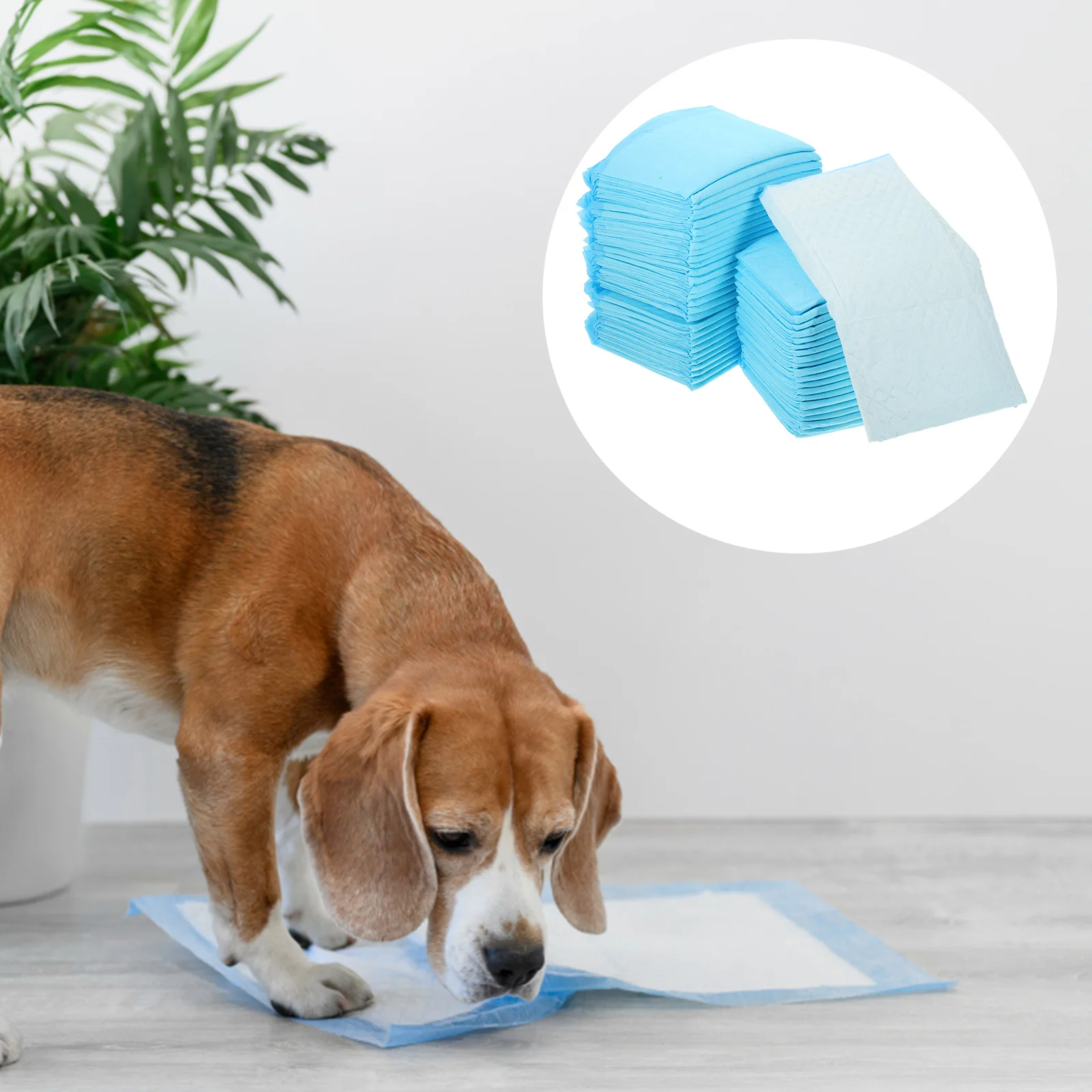100 Peças de Almofadas Super Absorventes e Impermeáveis para Treinamento de Filhotes e Gatos