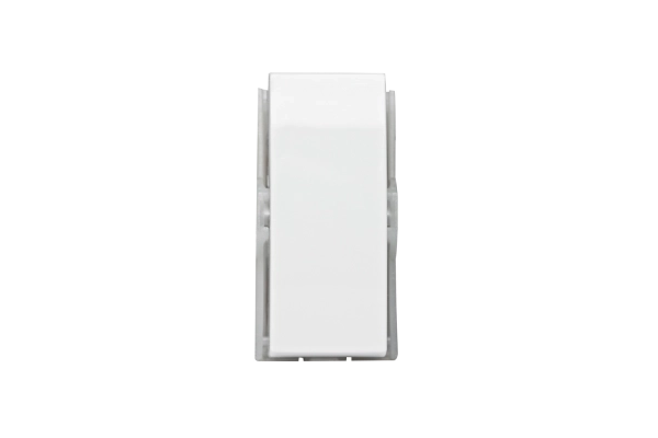 573001 MOD INT SIMP 10AX 250V BR BRV