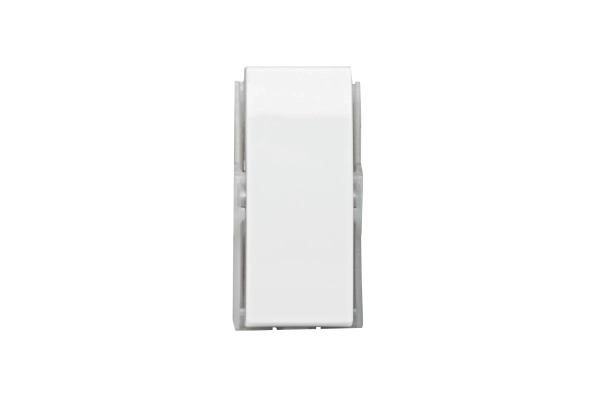 573021 MOD INT PAR 10AX 250V BR BRV