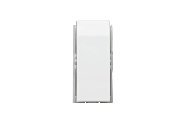 573061 MOD INT BIPOL PAR 10AX 250V BR DUP BRV BUPSS