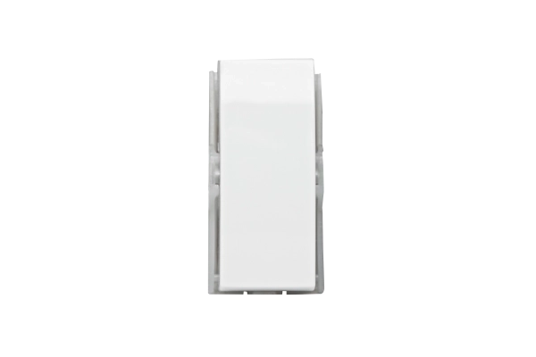 573081 MOD INT INTERM 10AX 250V BR BRV