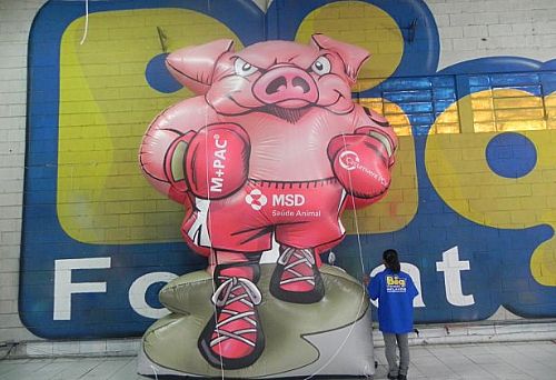 Mascote Inflável Personalizado — foto 3