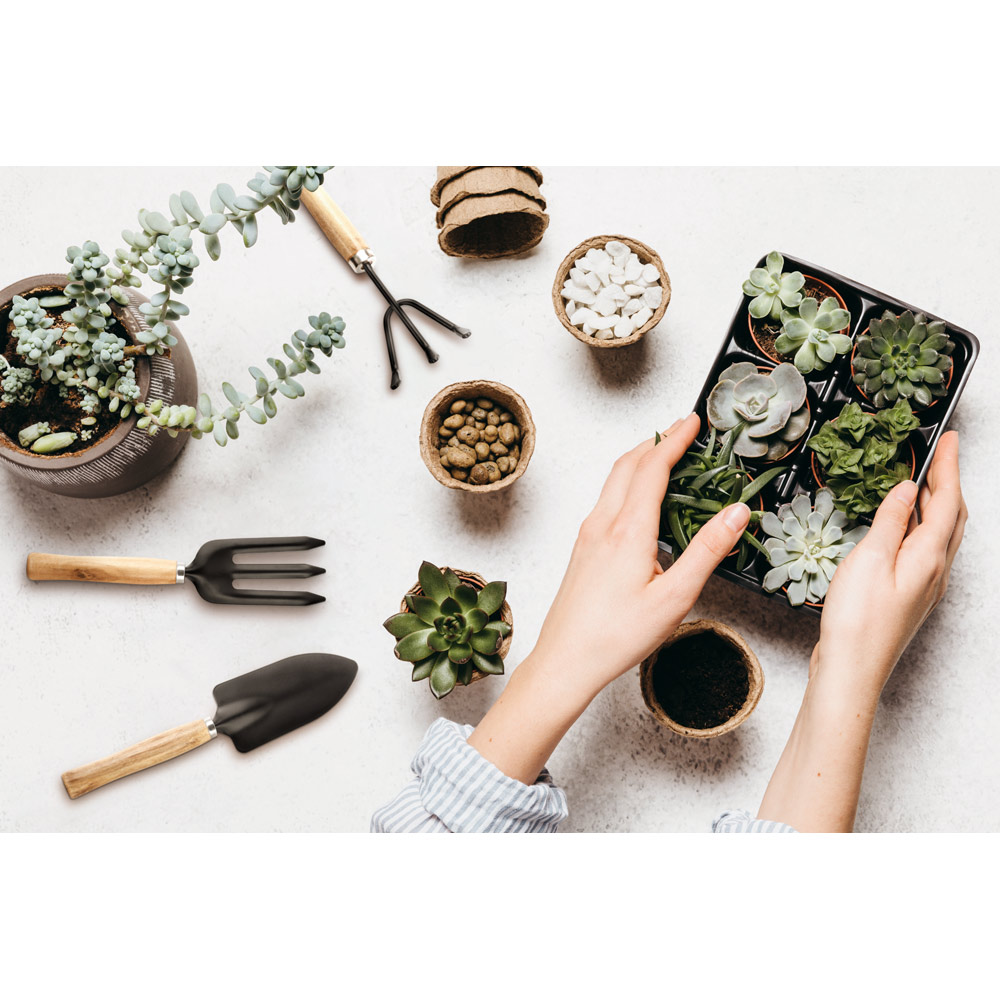 kit de jardinagem — foto 4