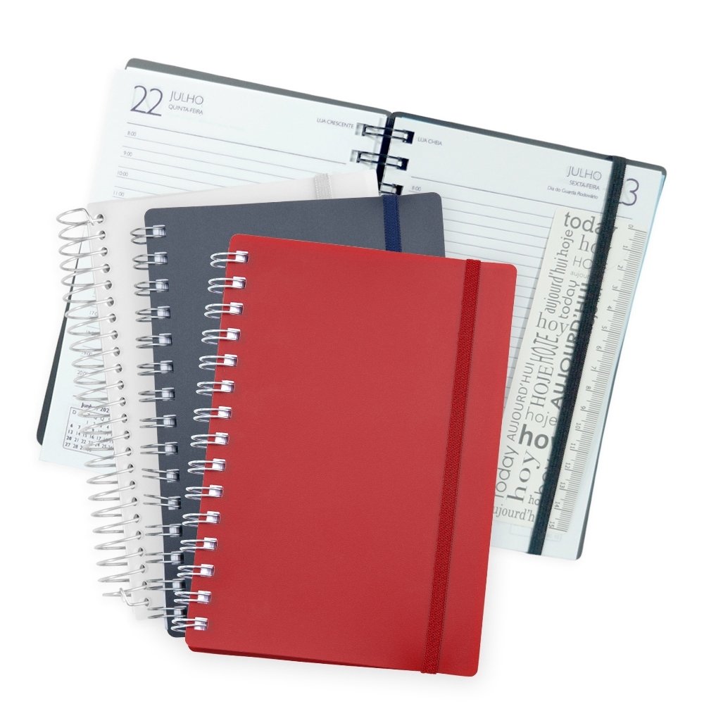 Agenda Diária 2025 Personalizado