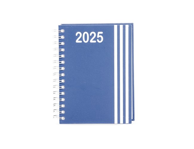 Agenda Diária 2025 Wire-o