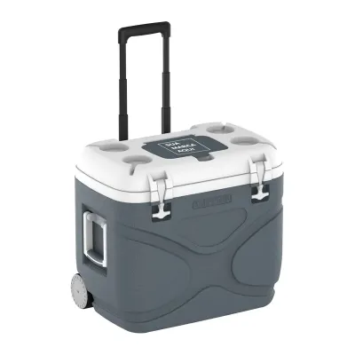 aixa Térmica Everest 45L Cinza - Com Rodinhas