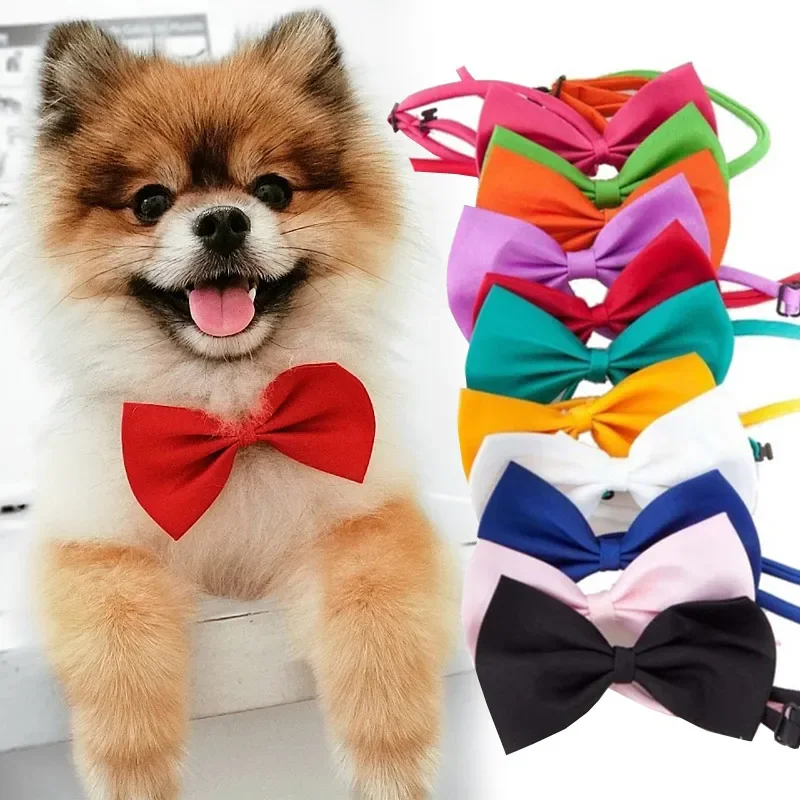 Alça Ajustável Multifuncional para Cães e Gatos - Coleira e Acessórios para Pets