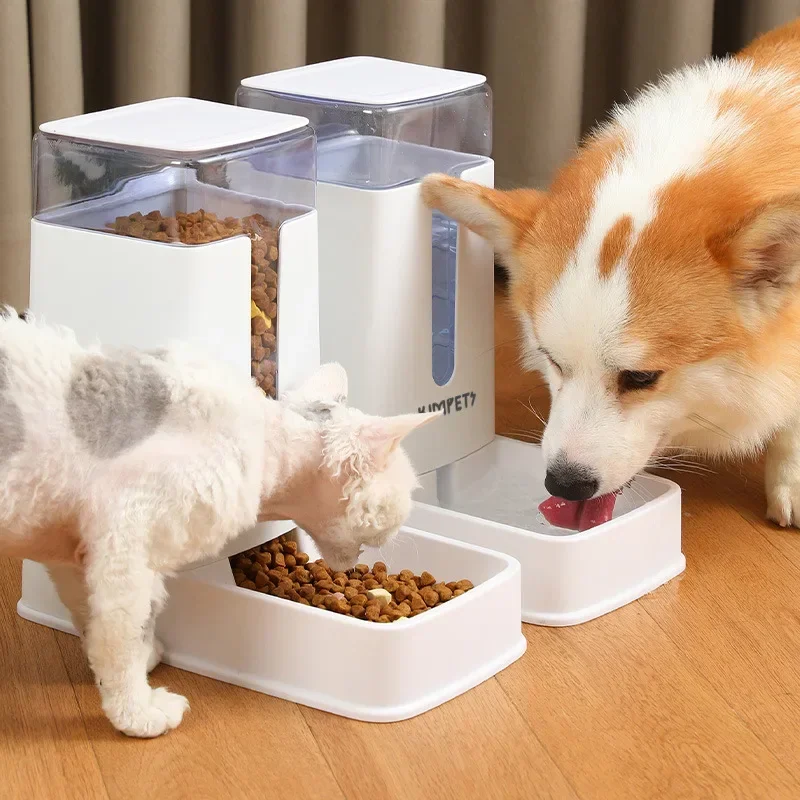 Alimentador e dispensador automático de água para cães e gatos, a solução perfeita para a felicidade e saúde do seu pet