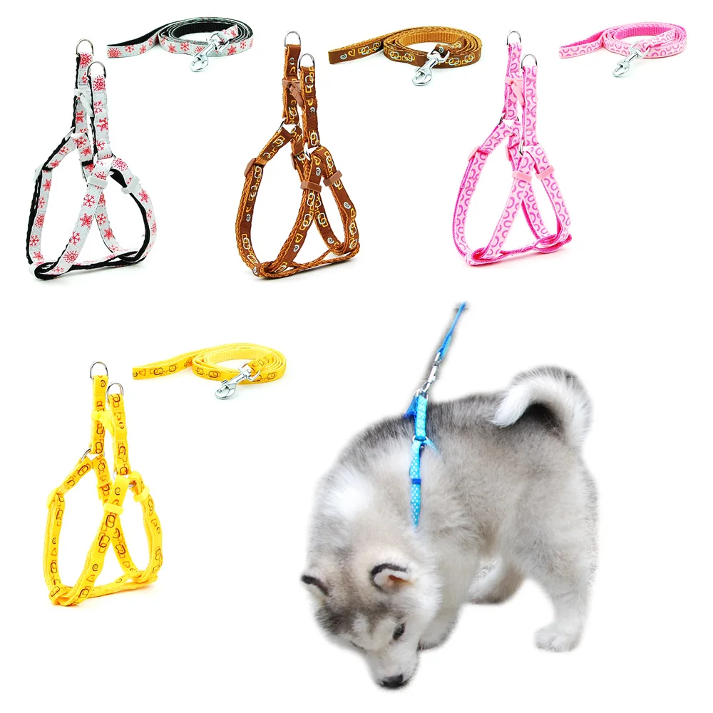 Arnês e Coleira Ajustável para Cães e Gatos - Acessórios Ideais para Passeios ao Ar Livre com Filhotes e Animais Pequenos
