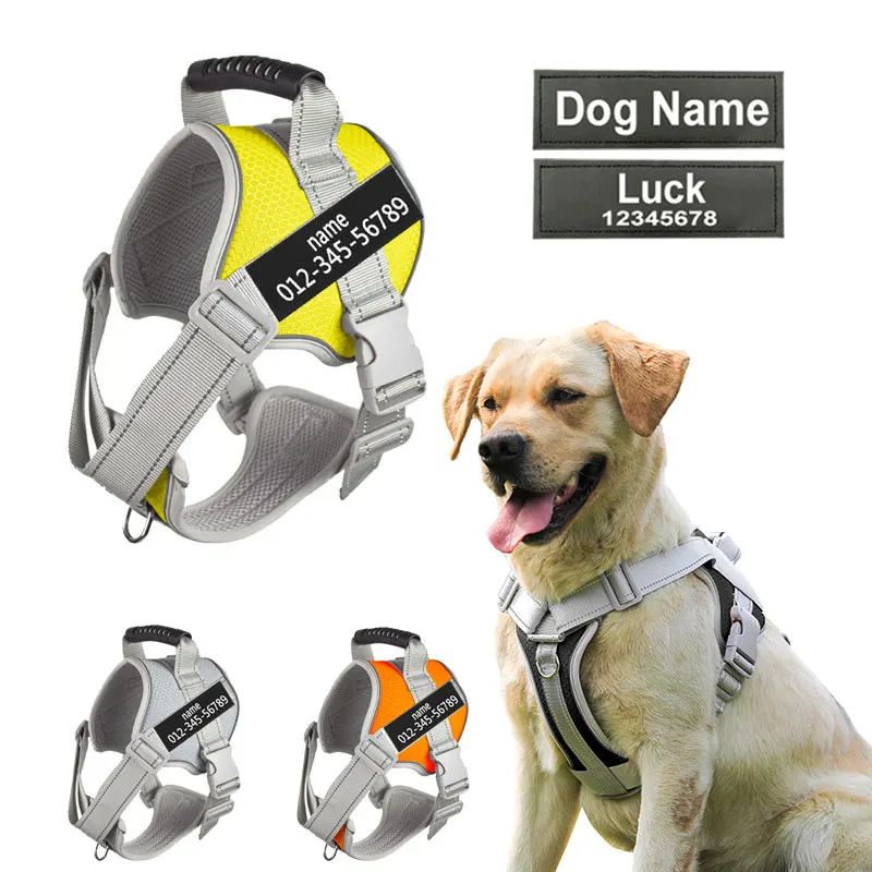 Arnês Personalizado para Labrador Retriever - Ajustável e Reflexivo para Cães de Médio a Grande Porte, Ideal para Passeios ao Ar Livre