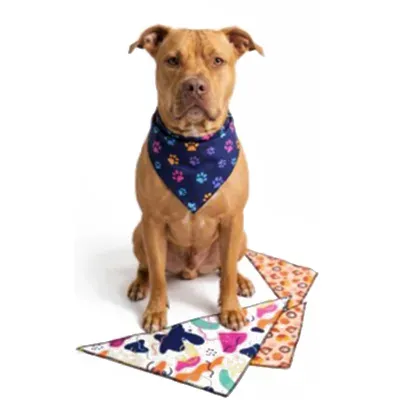Bandana Pet em Poliéster