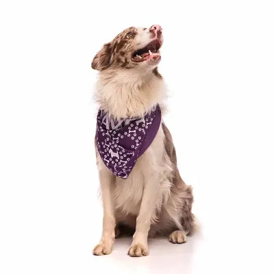 Bandana Pet Personalizada
