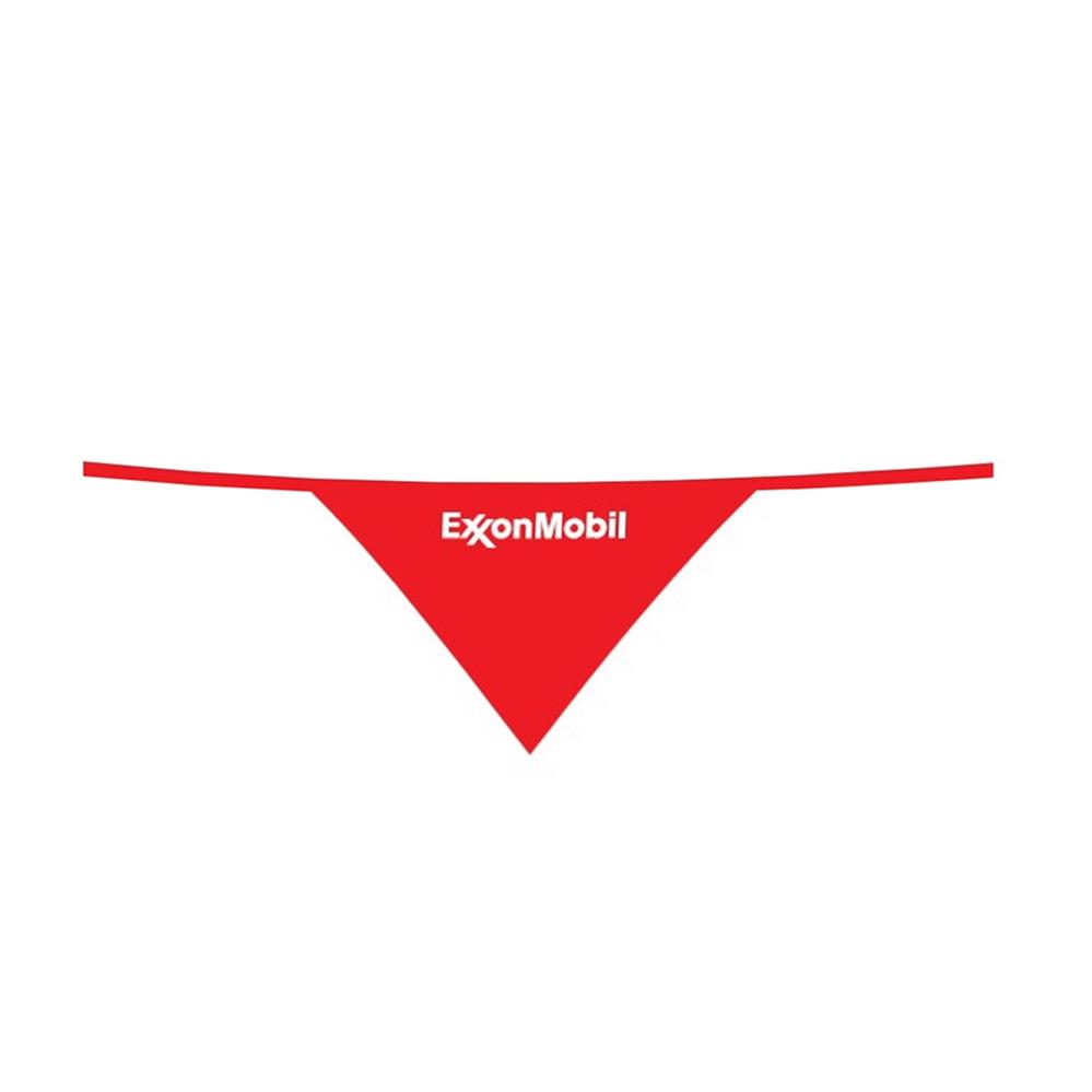 Bandana Pet Triangular Dogday - Nb4