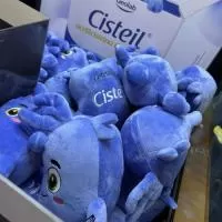 Bichinho De Pelucia Personalizado