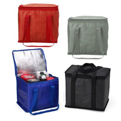 Bolsa Termica 12 Litros
