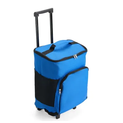 Bolsa Termica 30l Com Rodinhas