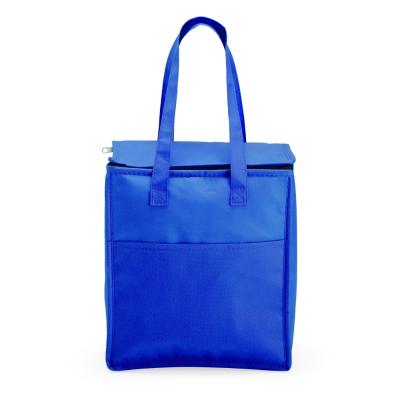 Bolsa Térmica Azul 13L
