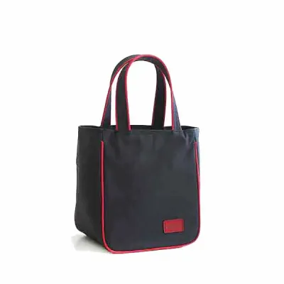 Bolsa Termica Estilo Sacola Com Alca de Mao