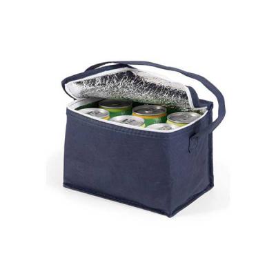 Bolsa Termica Para Bebidas