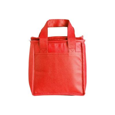 Bolsa Termica Personalizada Tnt 5l Versatilid