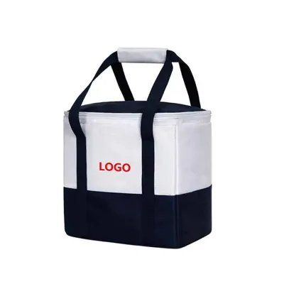 Bolsa Termica Retangular Bem Espacosa