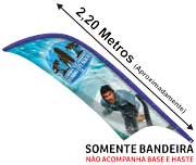 Wind Banner Bandeira Avulsa — foto 4