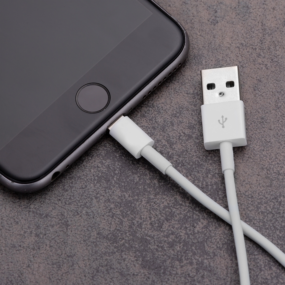 Cabo de Dados Lightning Personalizado — foto 4