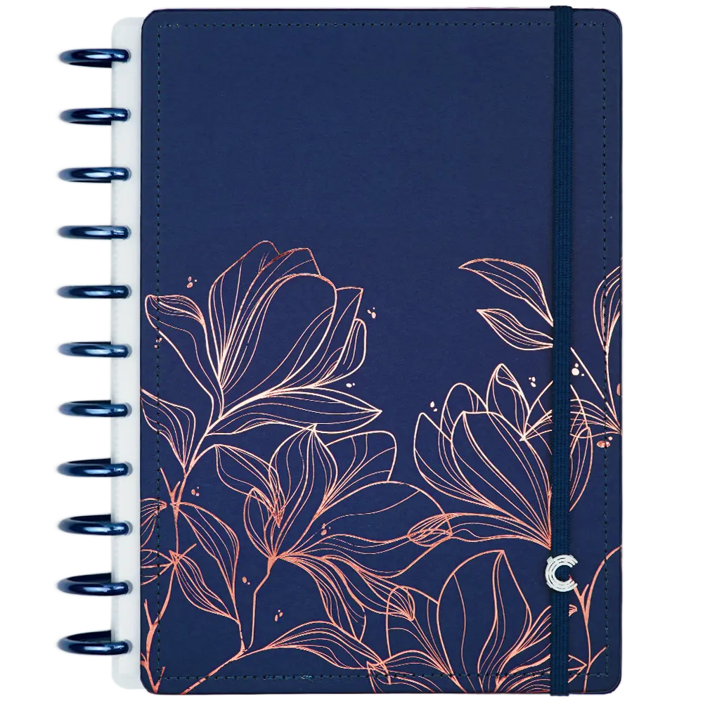 CADERNO 10 MATÉRIAS BT DREAM
