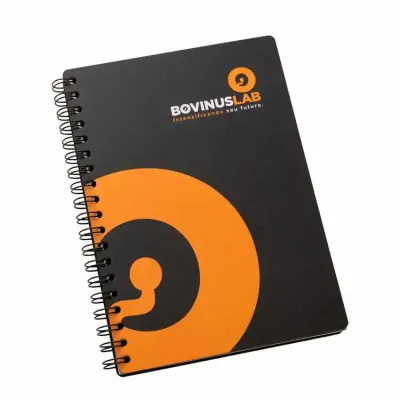 Caderno 2277ca