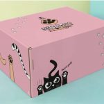 Caixa com sua marca 18x13,5x9cm - CE1 - 250