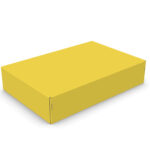 Caixa Correio Colorida 39 - 39x26x8cm - pac 50un - 50, Amarela
