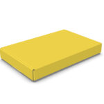 Caixa Correio Colorida M - 21,8x13,9x2,5cm - pac 50un - 50, Amarela