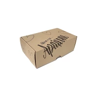 Caixa de papel P (15x9x5)