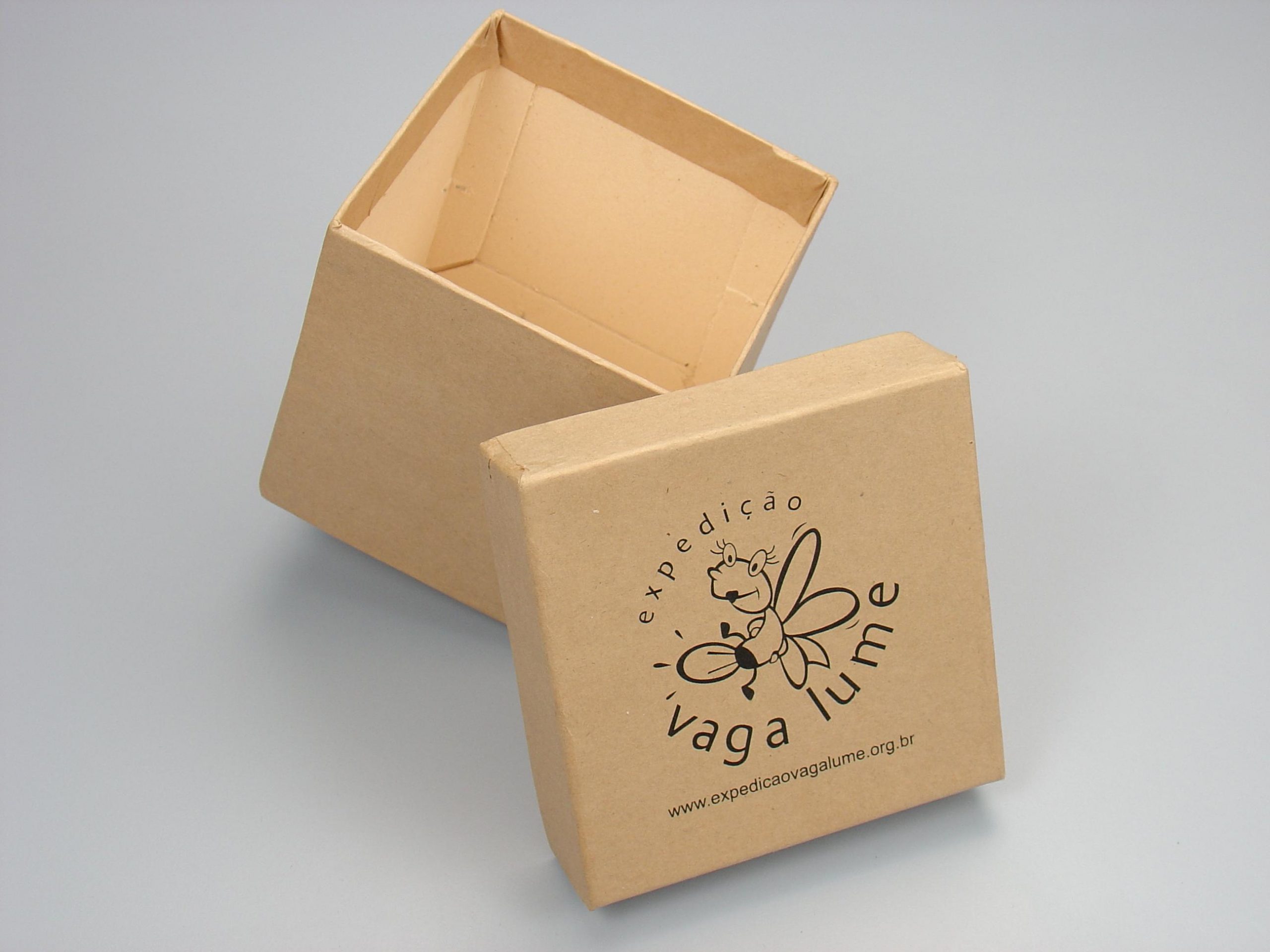 Caixa de papelão forrada