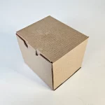 Caixa Parda para Bobina de Campo Passat - 11x9,4x9,4cm - 50