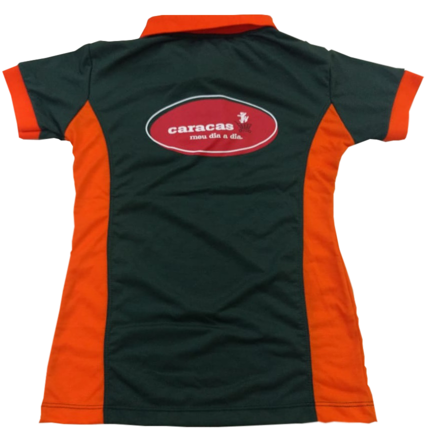 Camisa Polo feminina bordada