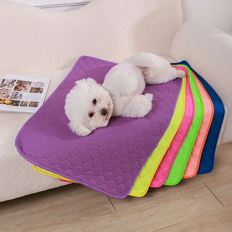 Capa Reutilizável para Cães: Fralda Absorvente e Cama de Treinamento Lavável para Urina, 1 Peça