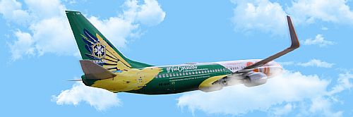 Plotagem em aviões personalizado — foto 2