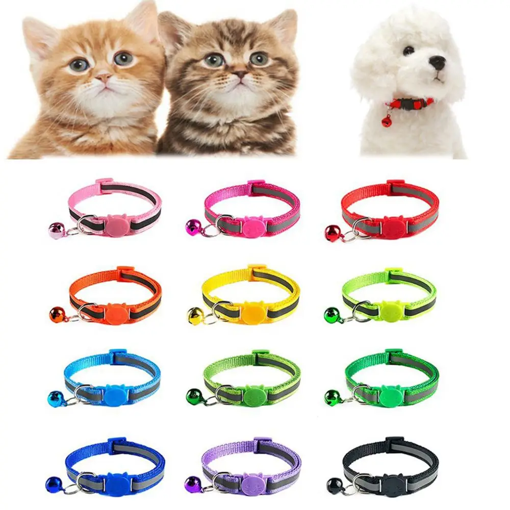 Colar Refletivo para Gatos: Segurança Noturna com Estilo Colorido e Atraente