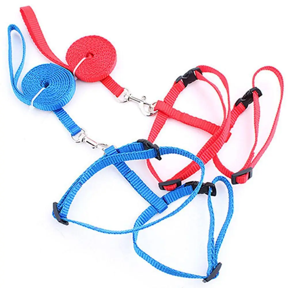 Coleira Ajustável de Nylon para Pets com Guia de Chumbo e Corda de Segurança para Tração