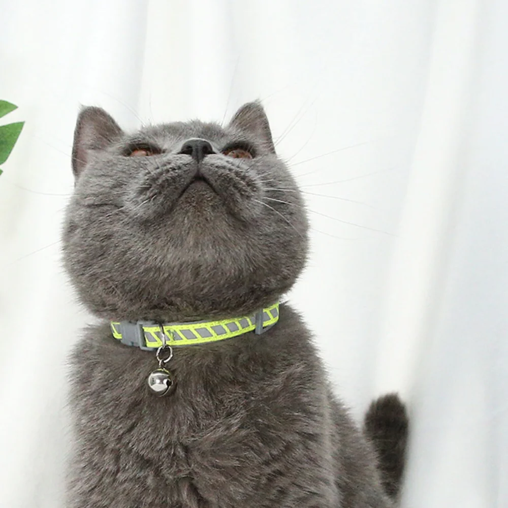 Coleira Reflexiva Ajustável para Cães e Gatos Grandes com Campainha de Liberação Rápida e Design Terno Flash recuperador Masculino