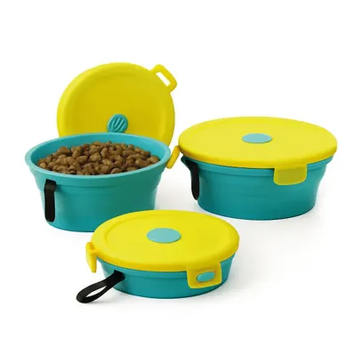 Comedouro Pet Retratil Com Tampa