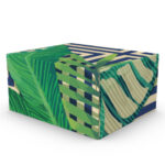Conexão Brasil 3B - 27x22,5x13,5cm - pac 50un - 50, Amazônia