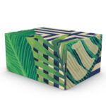 Conexão Brasil CE1 - 18x13,5x9cm - pac 50un - 50, Amazônia