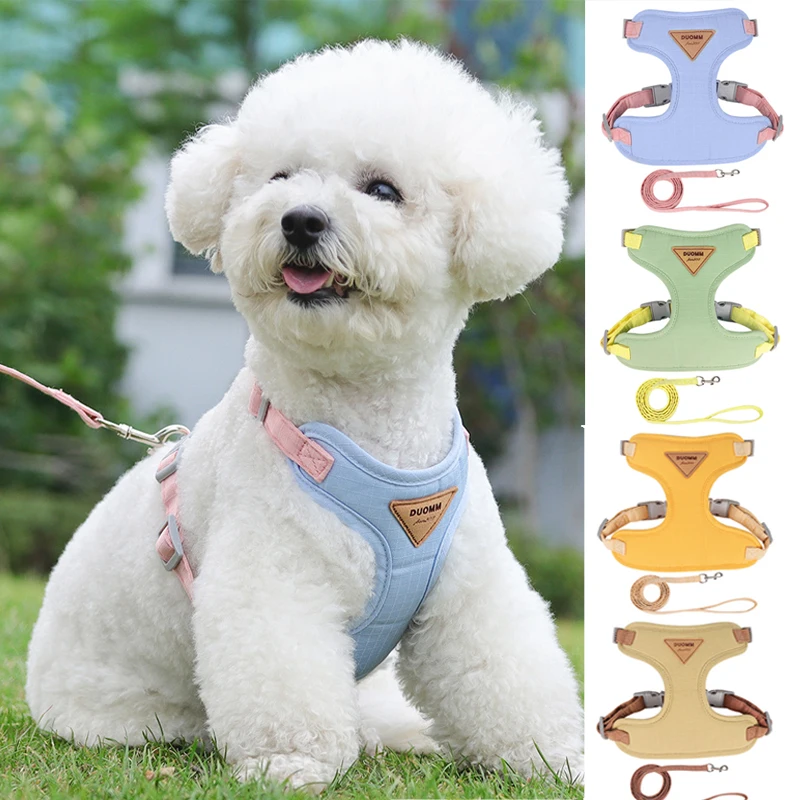 Conjunto Completo de Coleira Ajustável e Trela para Cães Pequenos com Colete para Caminhadas ao Ar Livre - Ideal para Bulldogs e Outros Animais de Estimação