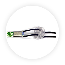 Cordão PET -  1x0 - SQUEEZE