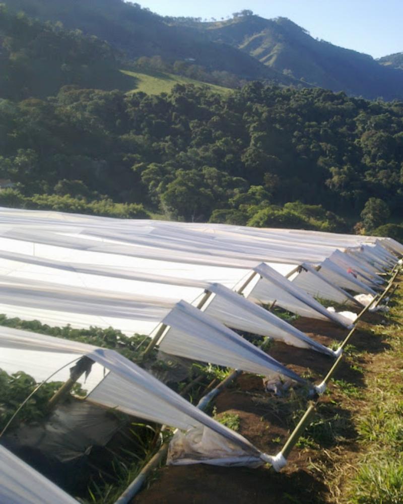 Embalagens para Agricultura