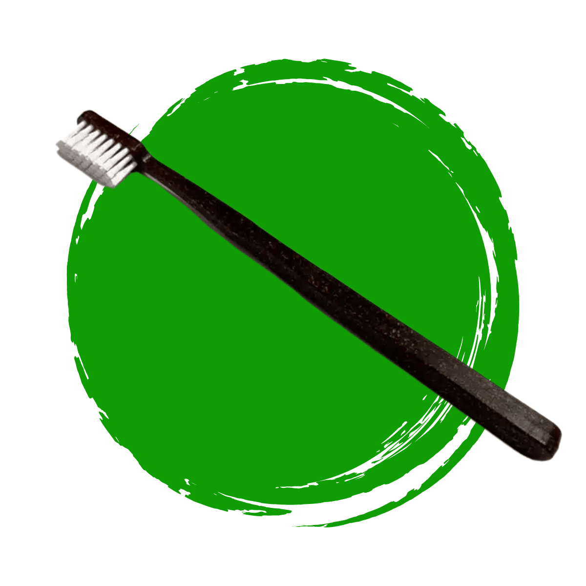 Escova Dental Ecológica | Fibras de Coco