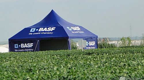 Tenda Estruturada Personalizada — foto 4