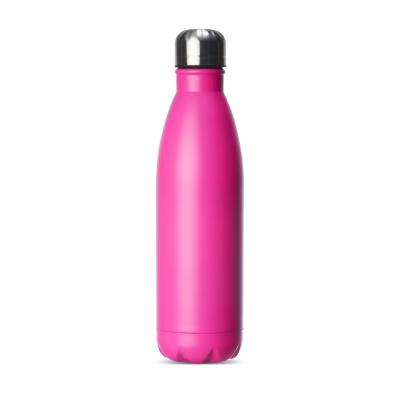 Garrafa inox